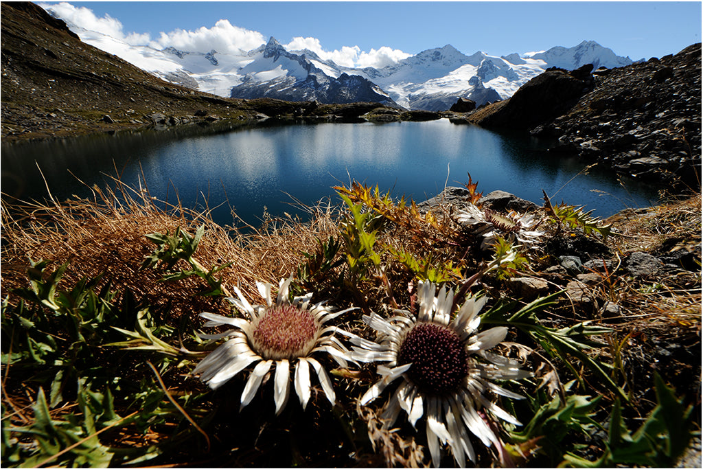 Leinenbild "Bergsee Zillertal" Farbe