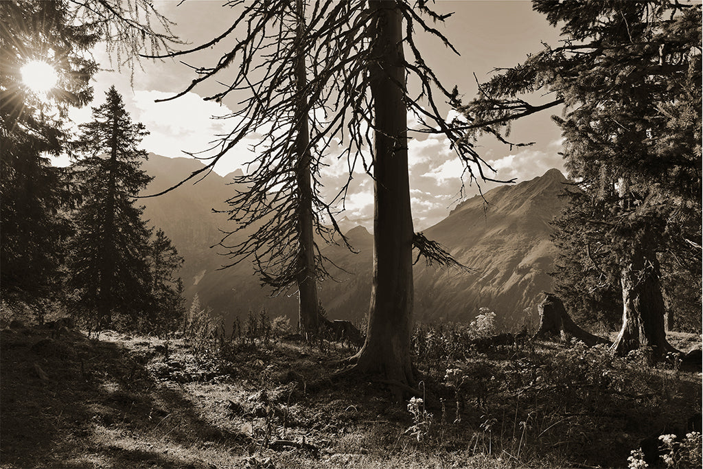 Leinenbild "Hohljoch" Sepia