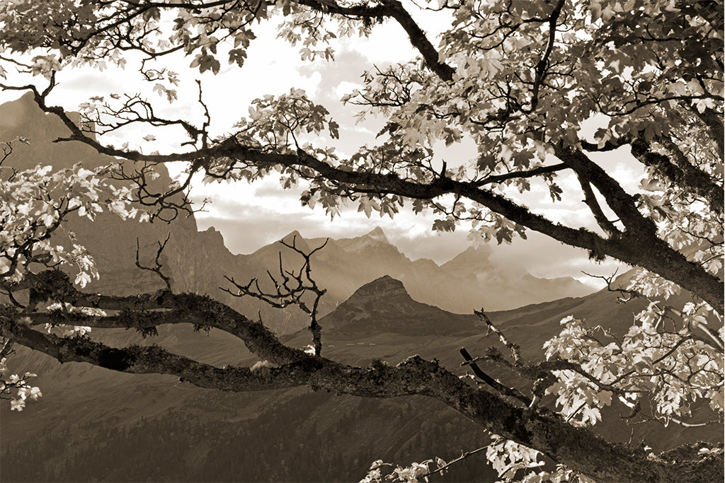 Leinenbild "Laliderer Hochleger" Sepia