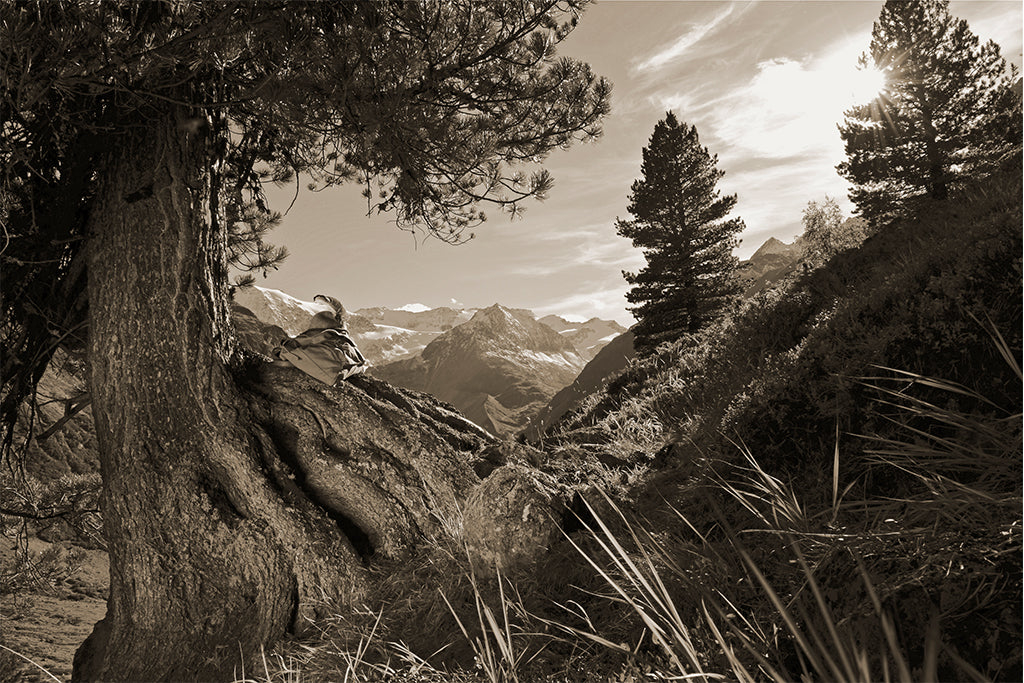Leinenbild "Taschachtal Pitztal" Sepia