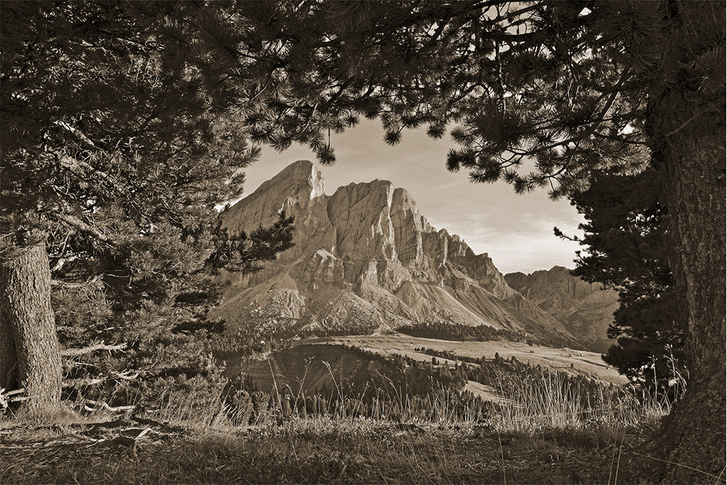 Leinenbild "Zirbenblick Pleitlerkofel" Sepia