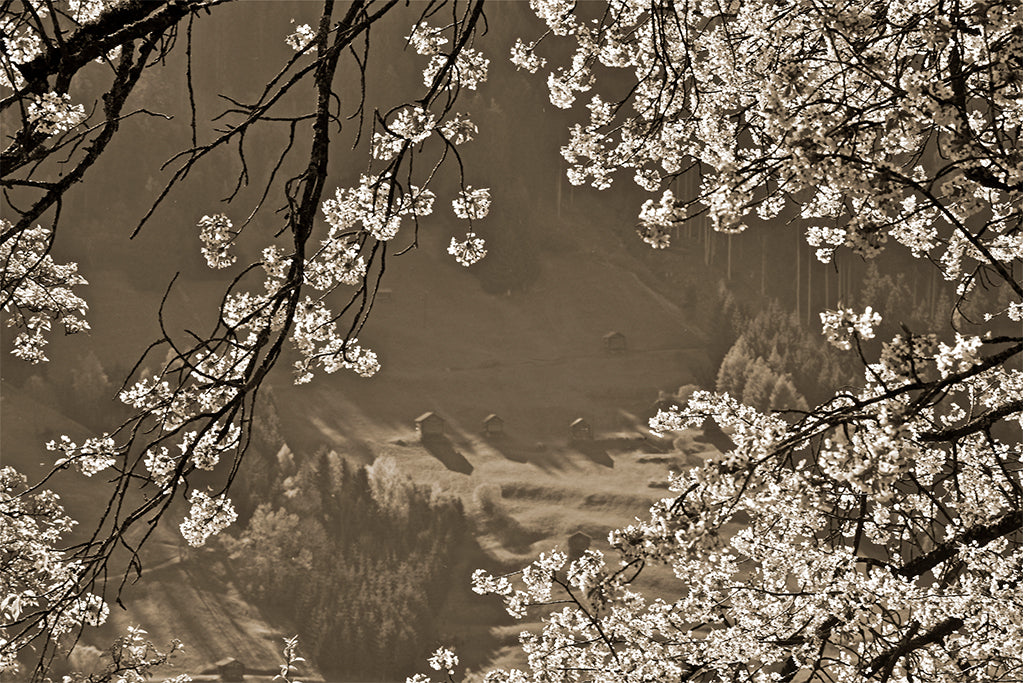 Leinenbild "Durchblick" Sepia