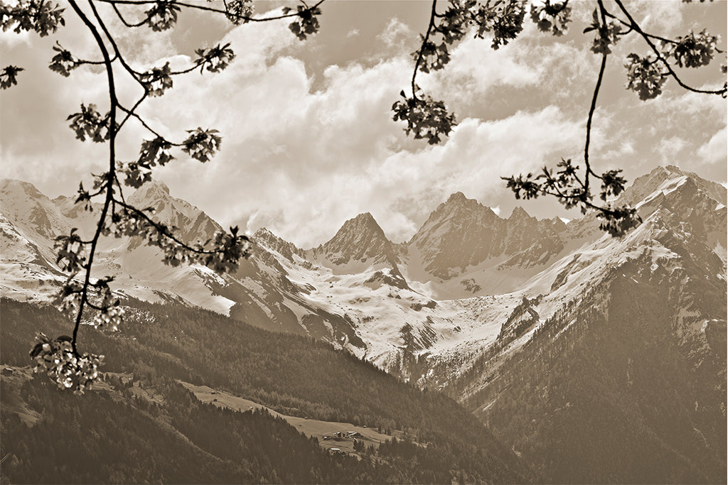 Leinenbild "Bergpanorama" Sepia