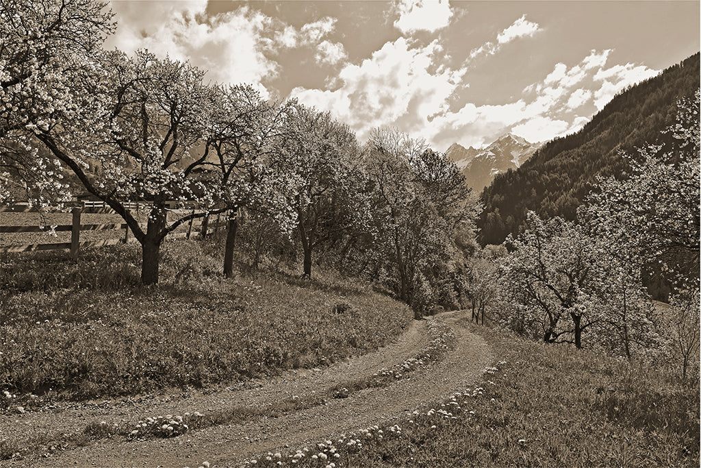 Leinenbild "Obstgarten" Sepia