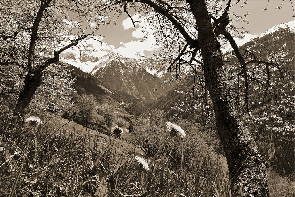 Leinenbild "Wallfahrtskirchl" Sepia