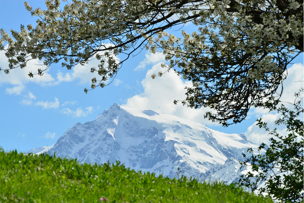 Leinenbild "Ortlerblick" Farbe