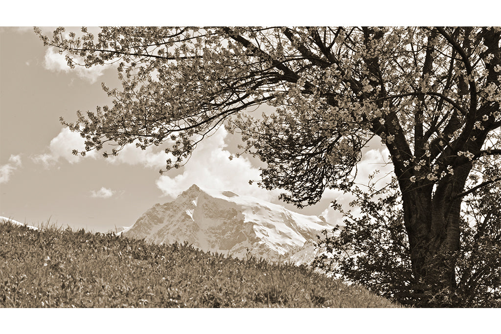 Leinenbild "Fernsicht" Sepia