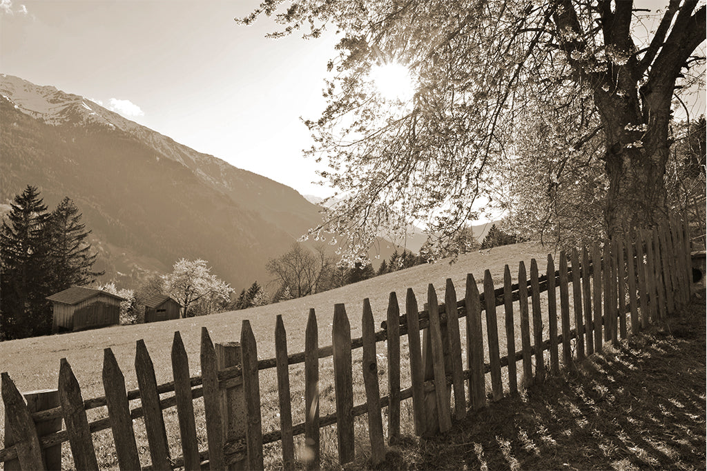 Leinenbild "Zaungast" Sepia