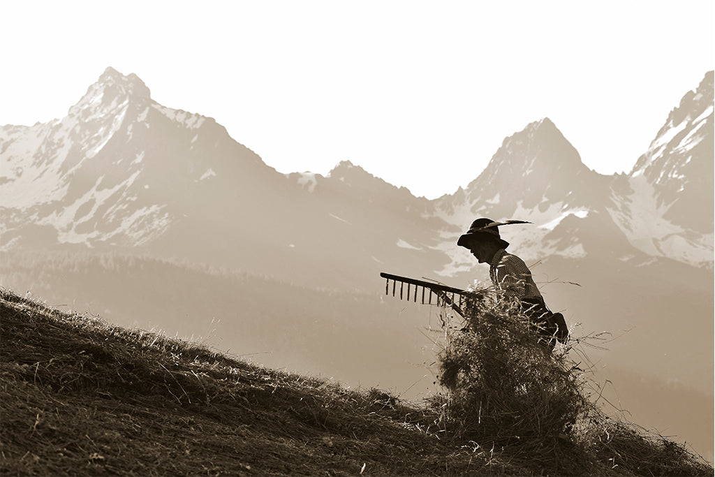 Leinenbild "Bergheu" Sepia