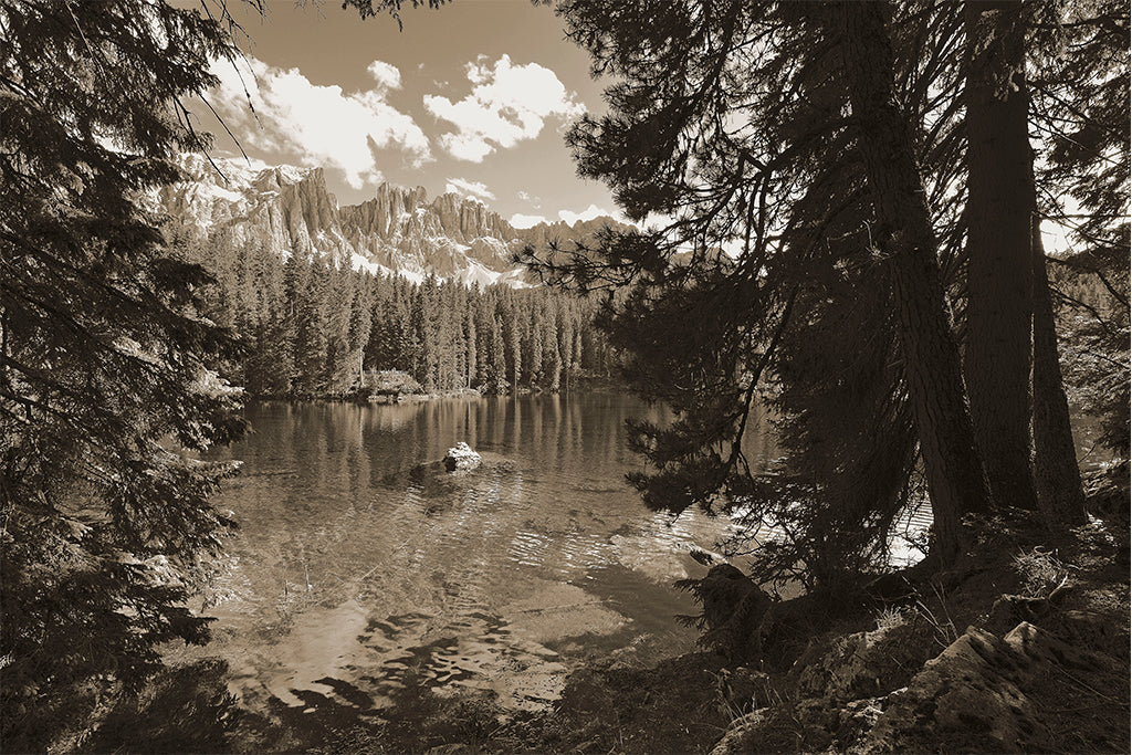 Leinenbild "Wildromantik II" Sepia