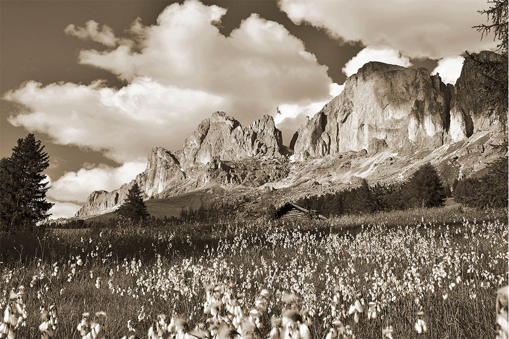 Leinenbild "Rosengarten" Sepia