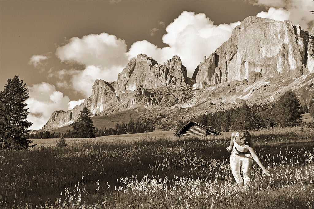 Leinenbild "Rosengarten II" Sepia