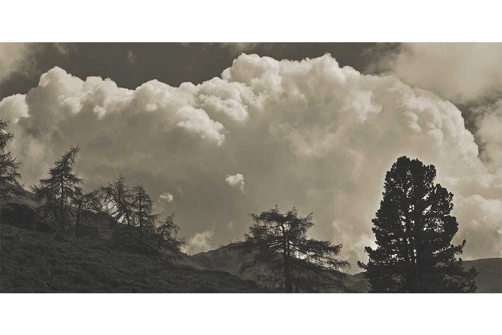 Leinenbild Panorama "Wetterwand" Sepia