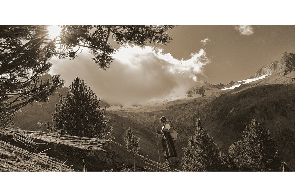 Leinenbild Panorama Spruch "Lichtwärts" Sepia