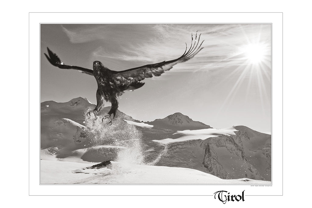 Poster "Wildfrei Adler Wildspitz" S/W
