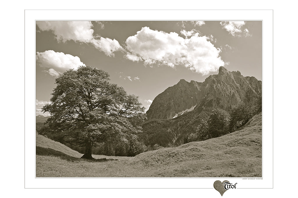 Poster "Lebensraum" Sepia