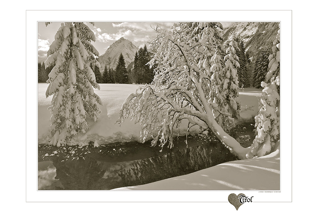Poster "Schneeweiss" Sepia