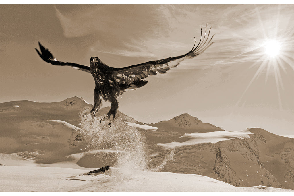 Leinenbild "Adler startet" Sepia