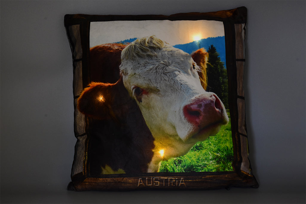 Polster mit 3 LED Motiv Kuh-Fenster