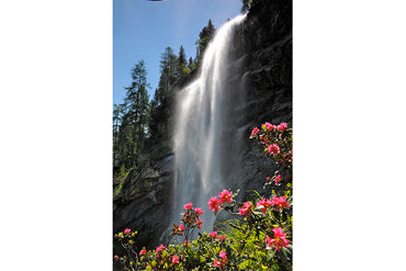 Leinenbild "Almrosenwasserfall" Farbe