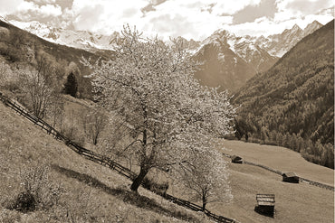 Leinenbild "Bergwiese" Sepia