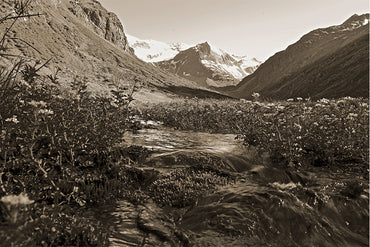 Leinenbild "Bergquelle" Sepia