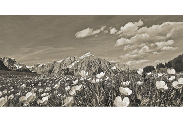 Leinenbild Panorama "Blumenmeer" Farbe